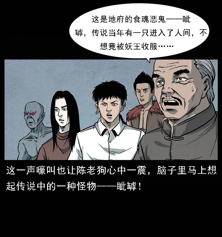 51.jpg