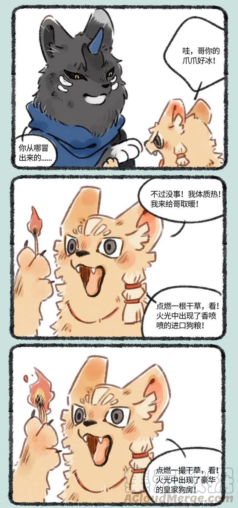 5.jpg