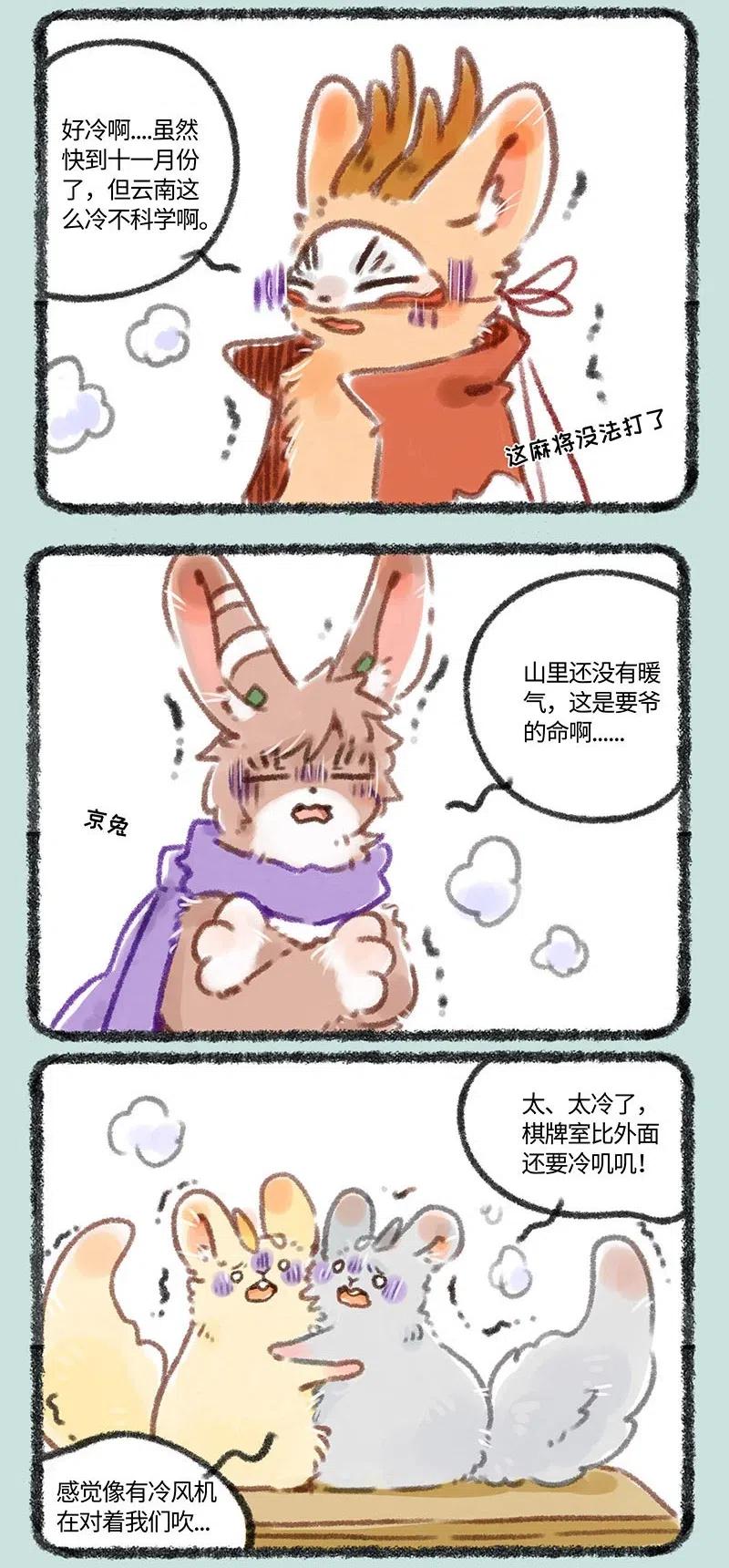 2.jpg
