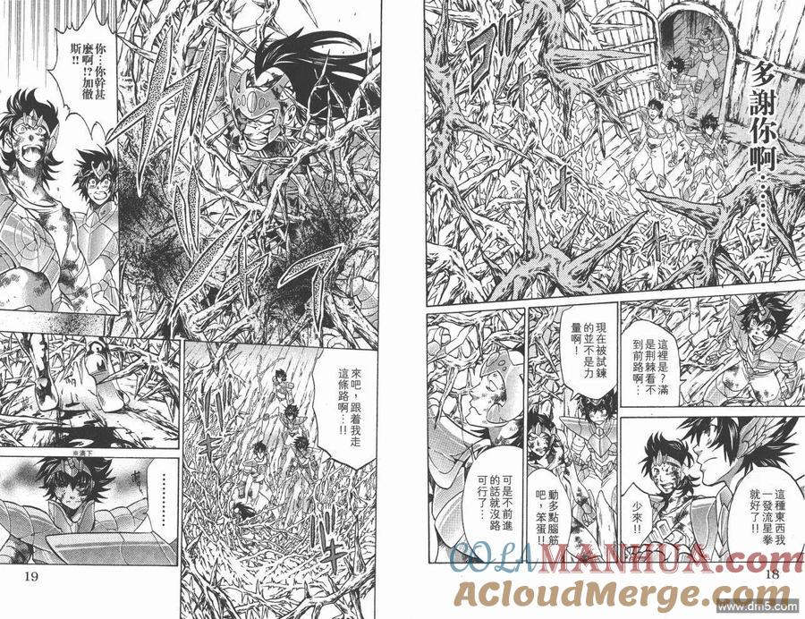 第15卷-圣斗士星矢 冥王神话-手代木史织（第9张）