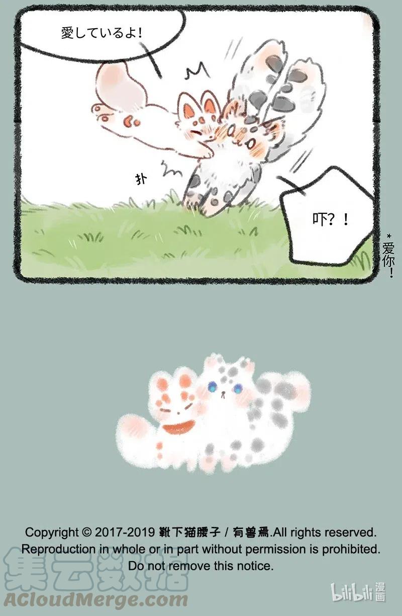 7.jpg