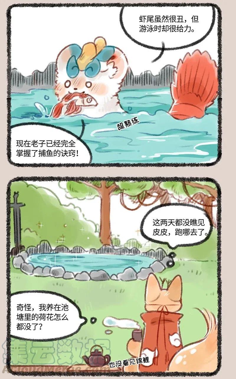 5.jpg
