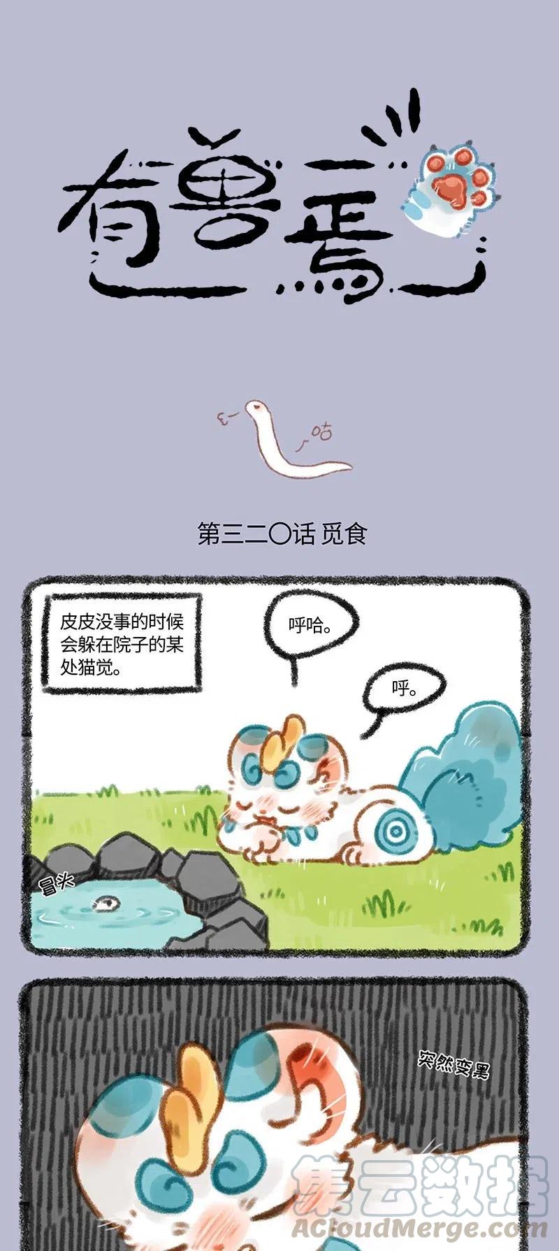 1.jpg