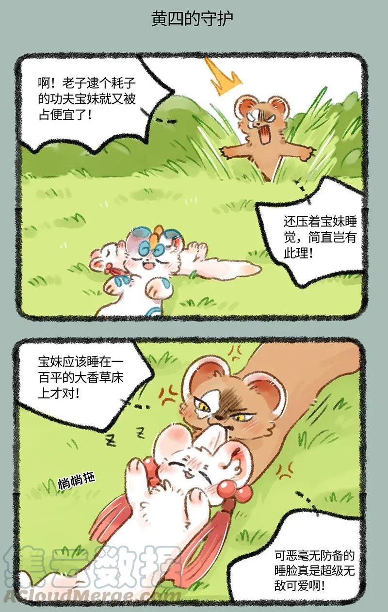 5.jpg