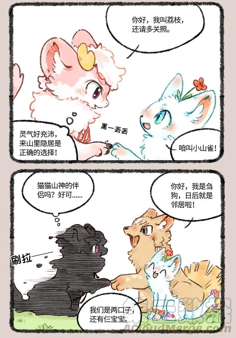 6.jpg