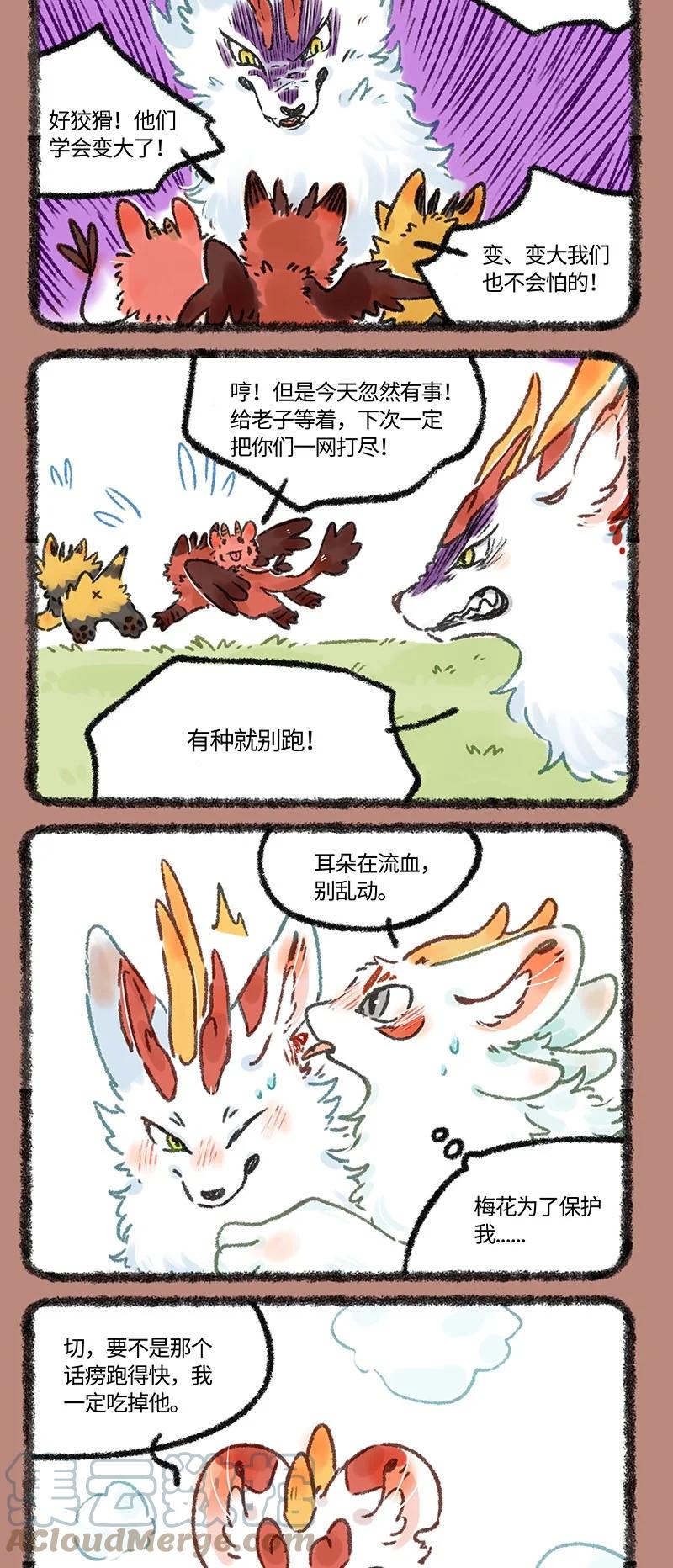 5.jpg