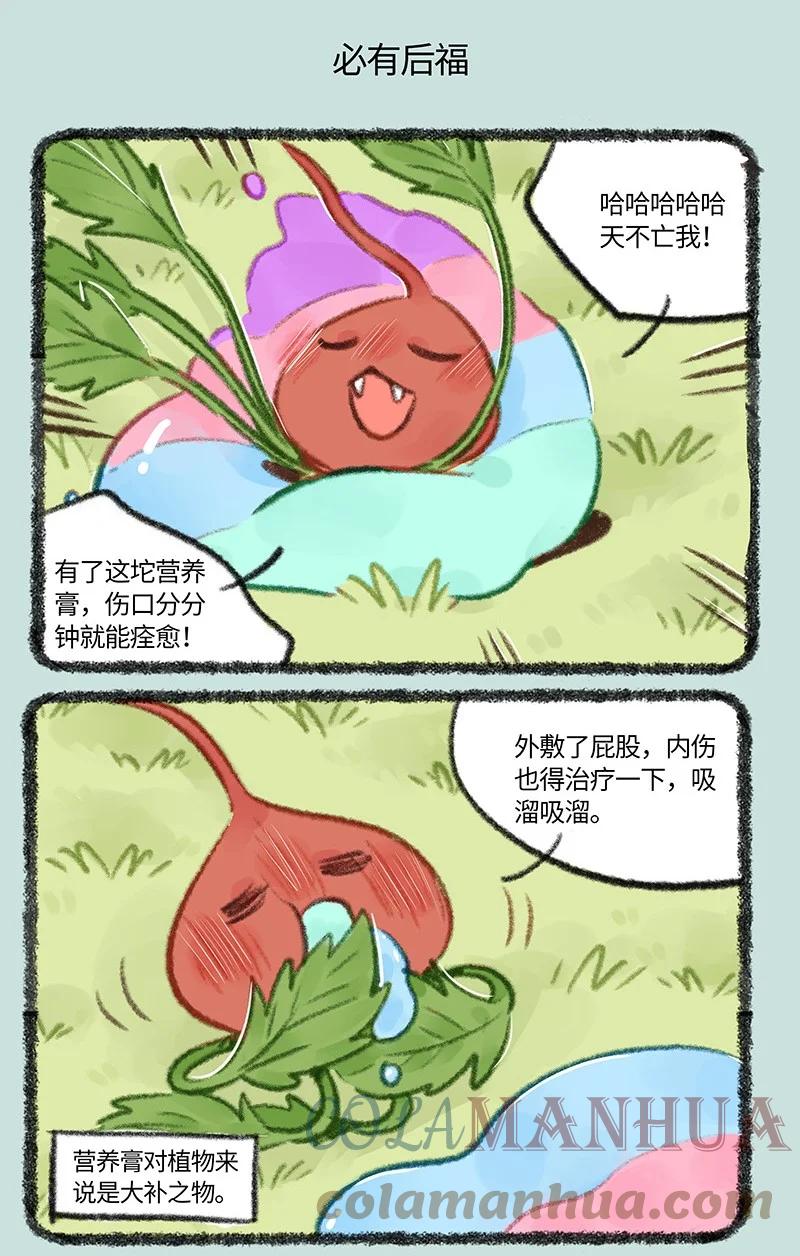 5.jpg