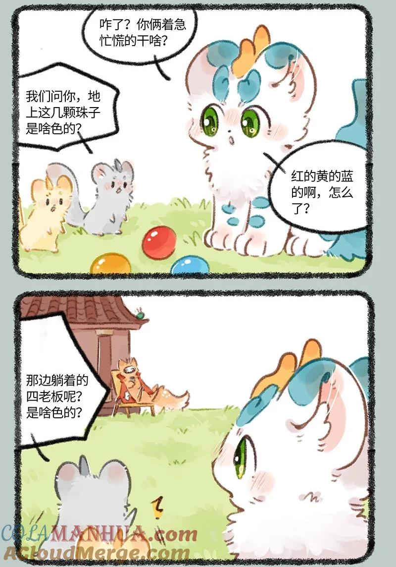 5.jpg