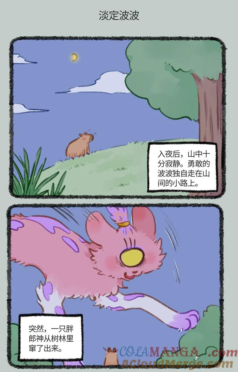 5.jpg