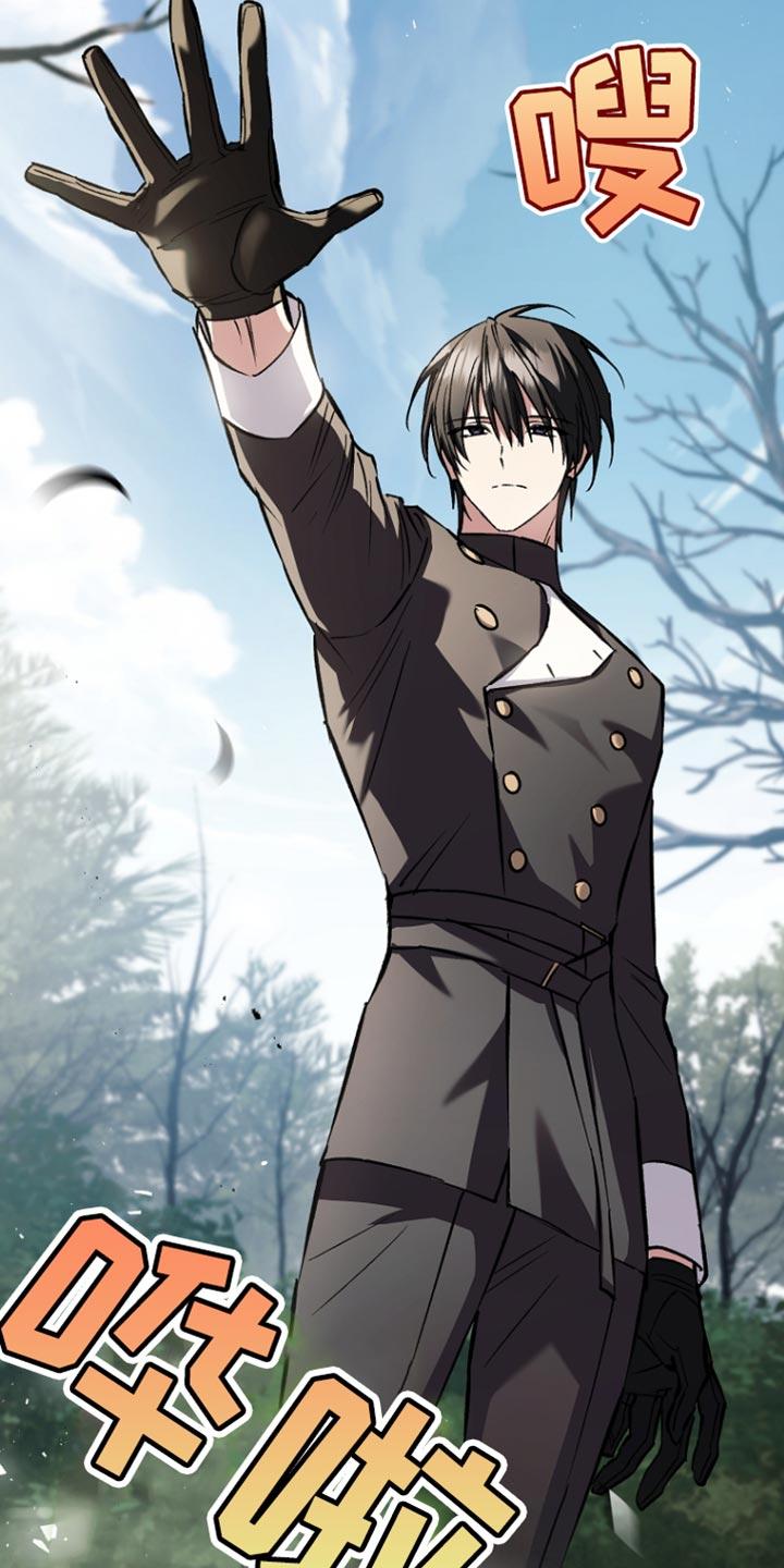 第109章：【第二季】胸针-魔兵传奇-UIianem（第11张）