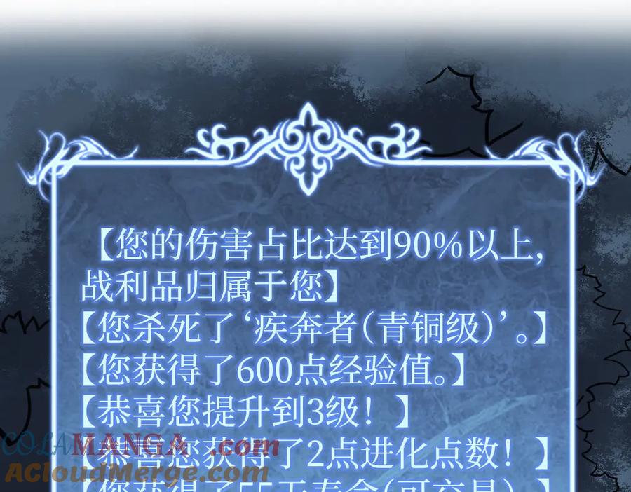 137.jpg