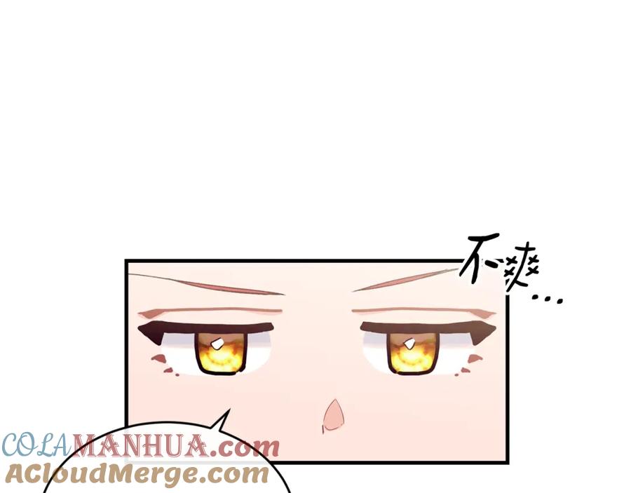 113.jpg