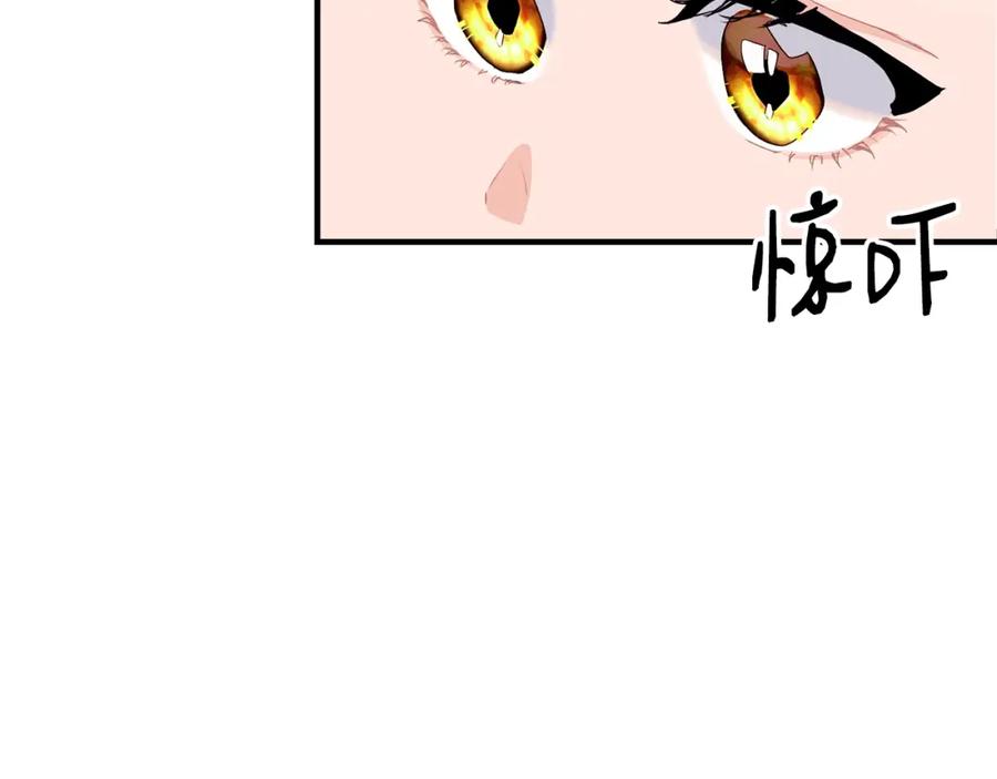 156.jpg