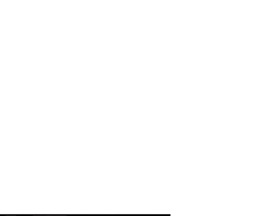 74.jpg