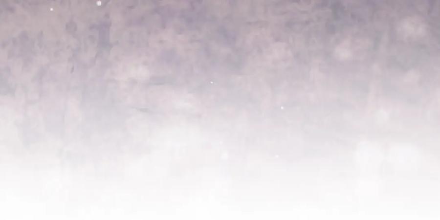 96.jpg