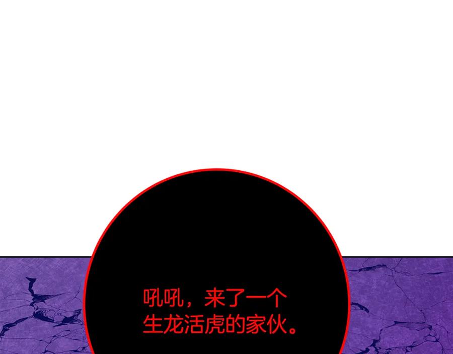164.jpg