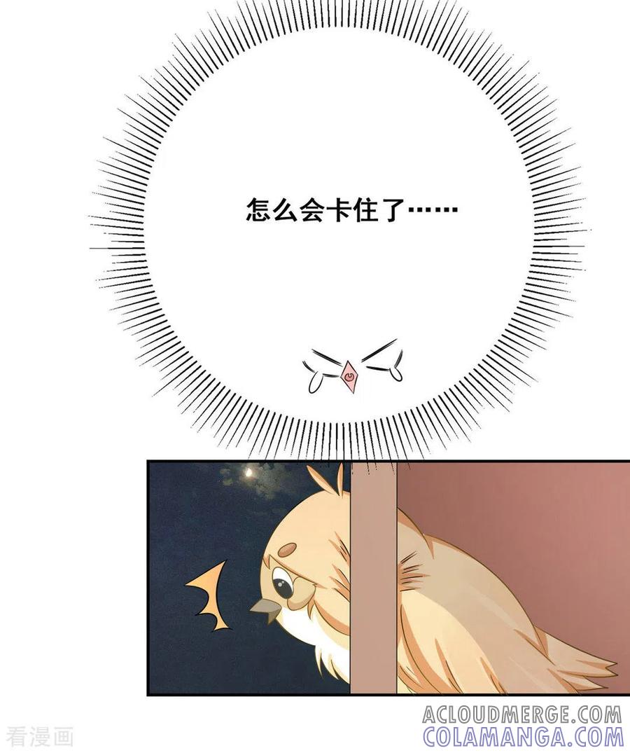 第24话-冤家小小鸟-咪咕阅读（第9张）