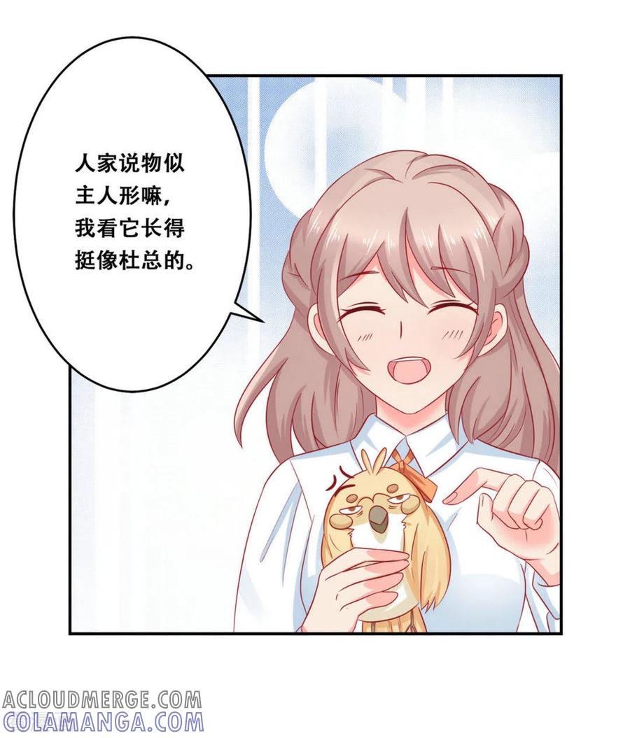 第25话-冤家小小鸟-咪咕阅读（第9张）