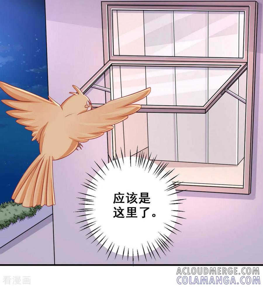 第36话-冤家小小鸟-咪咕阅读（第11张）