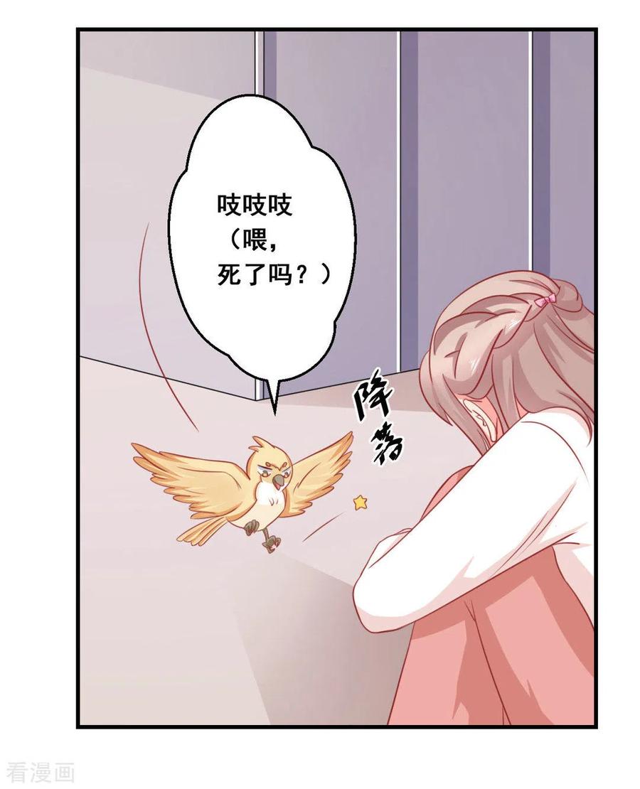 第36话-冤家小小鸟-咪咕阅读（第14张）