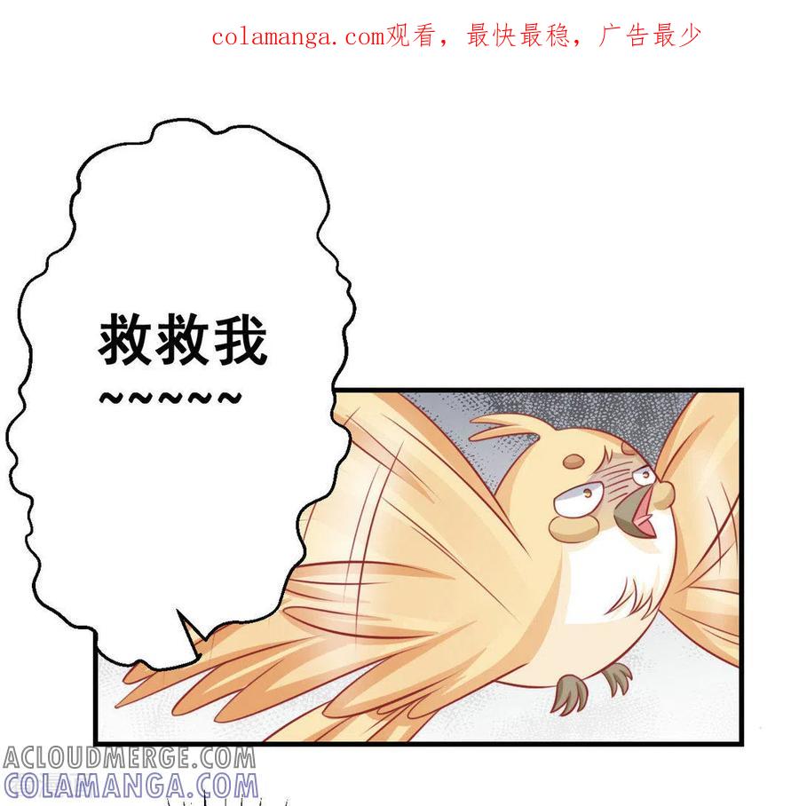 第36话-冤家小小鸟-咪咕阅读（第1张）