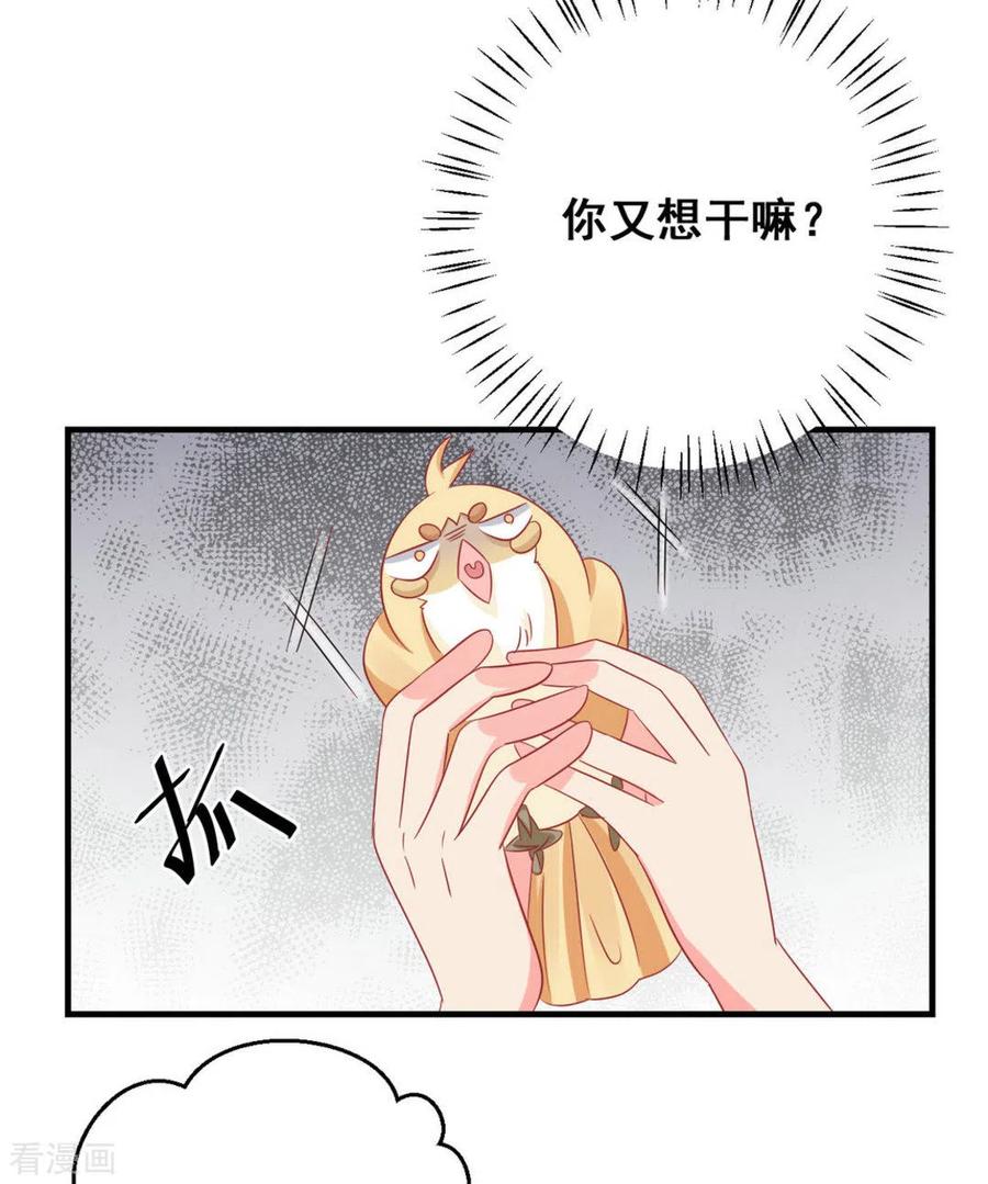 第37话-冤家小小鸟-咪咕阅读（第8张）