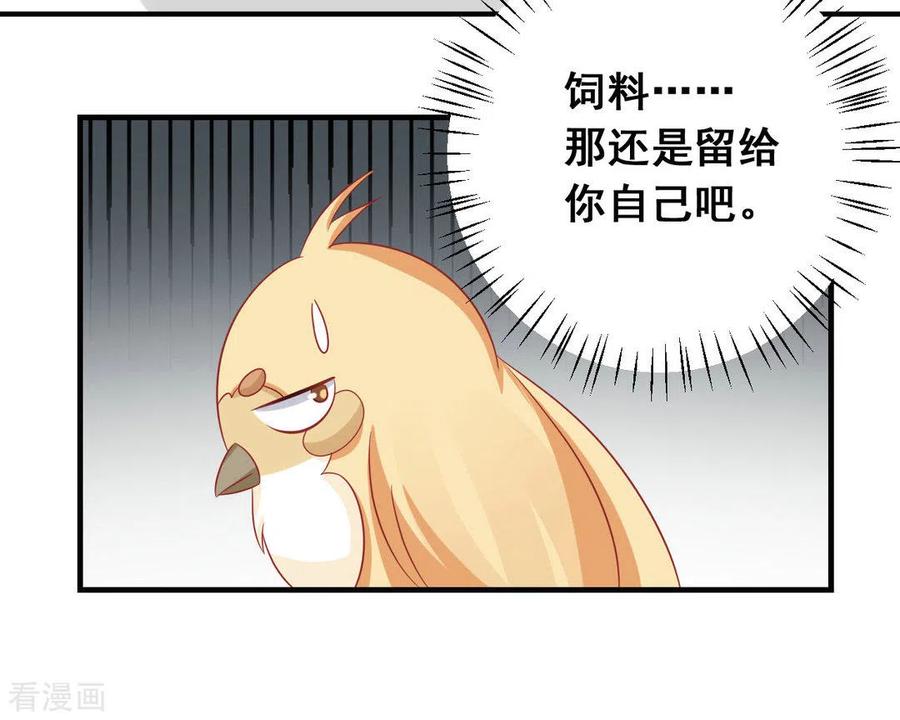 第37话-冤家小小鸟-咪咕阅读（第14张）
