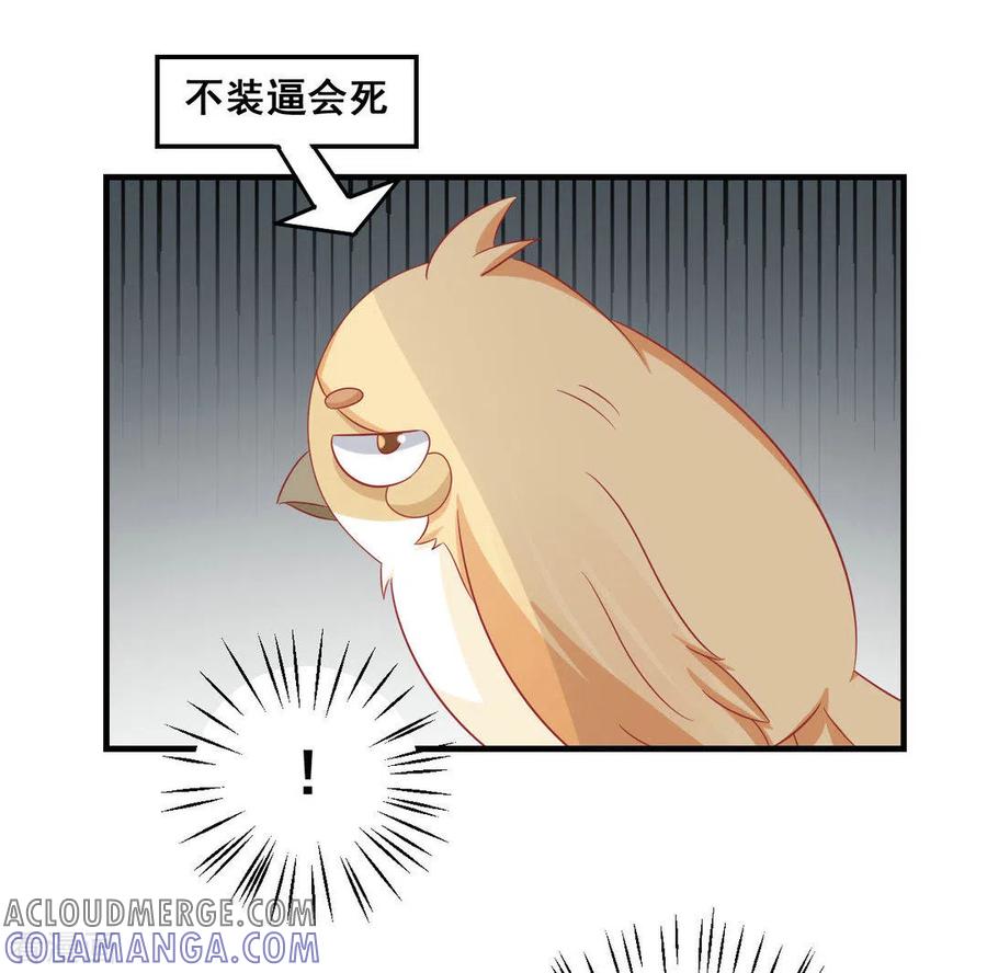 第37话-冤家小小鸟-咪咕阅读（第7张）