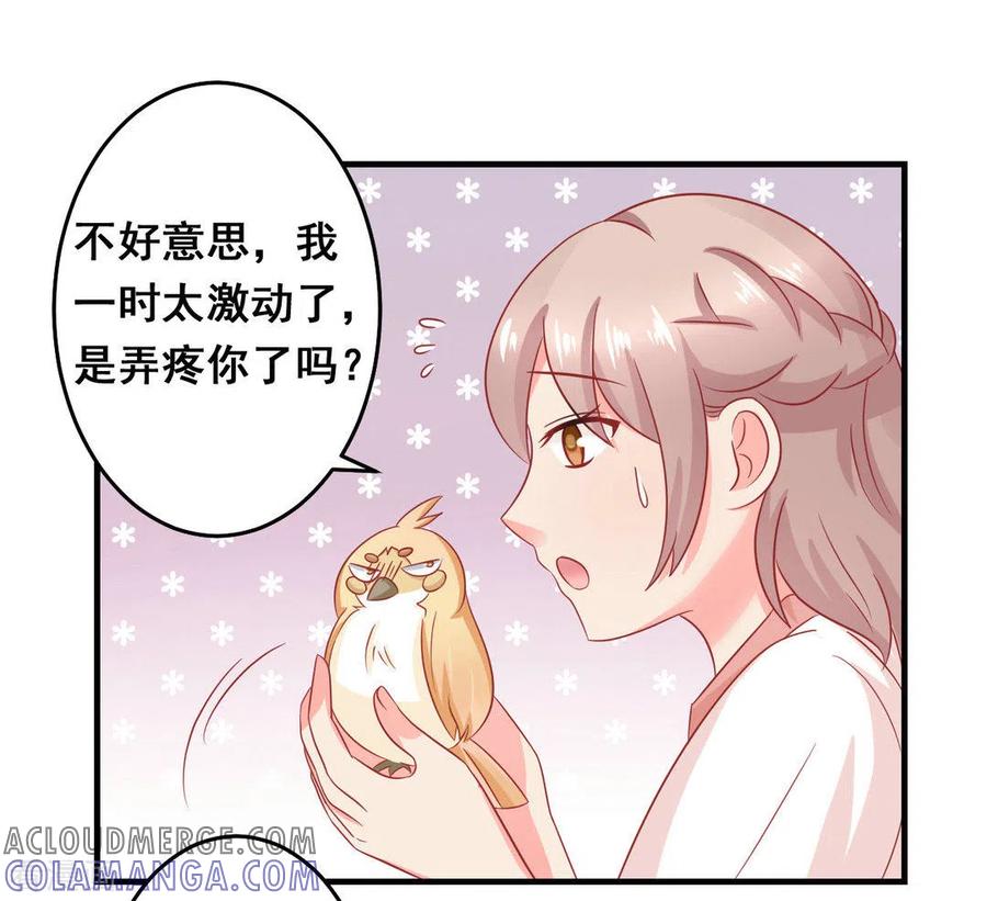 第37话-冤家小小鸟-咪咕阅读（第11张）