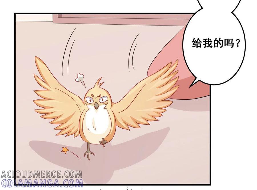 第37话-冤家小小鸟-咪咕阅读（第3张）