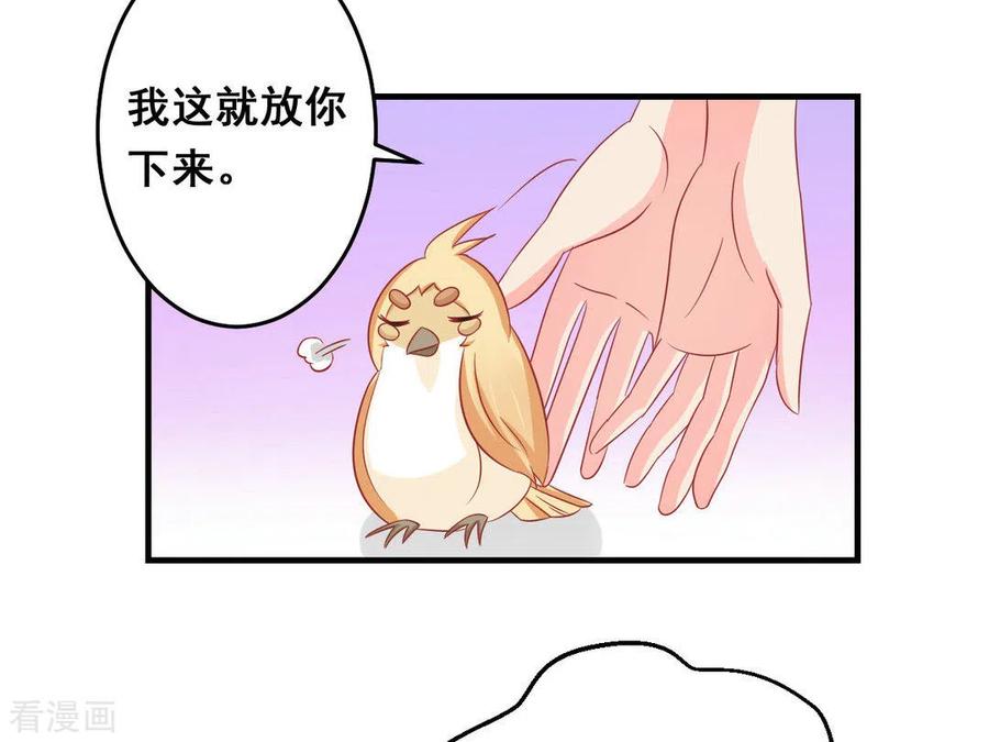 第37话-冤家小小鸟-咪咕阅读（第12张）