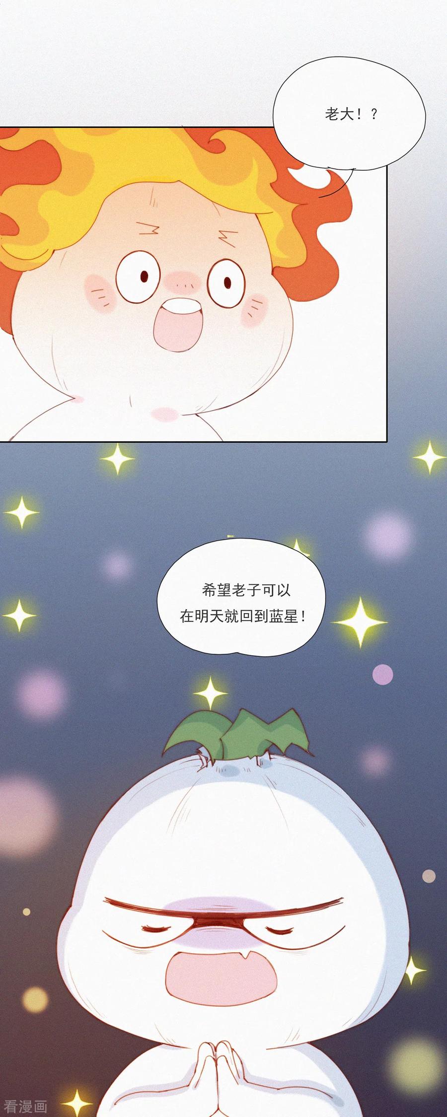 第48话特别篇：如何合理过生日-快乐蒜球啊？-蒜头文化（第14张）
