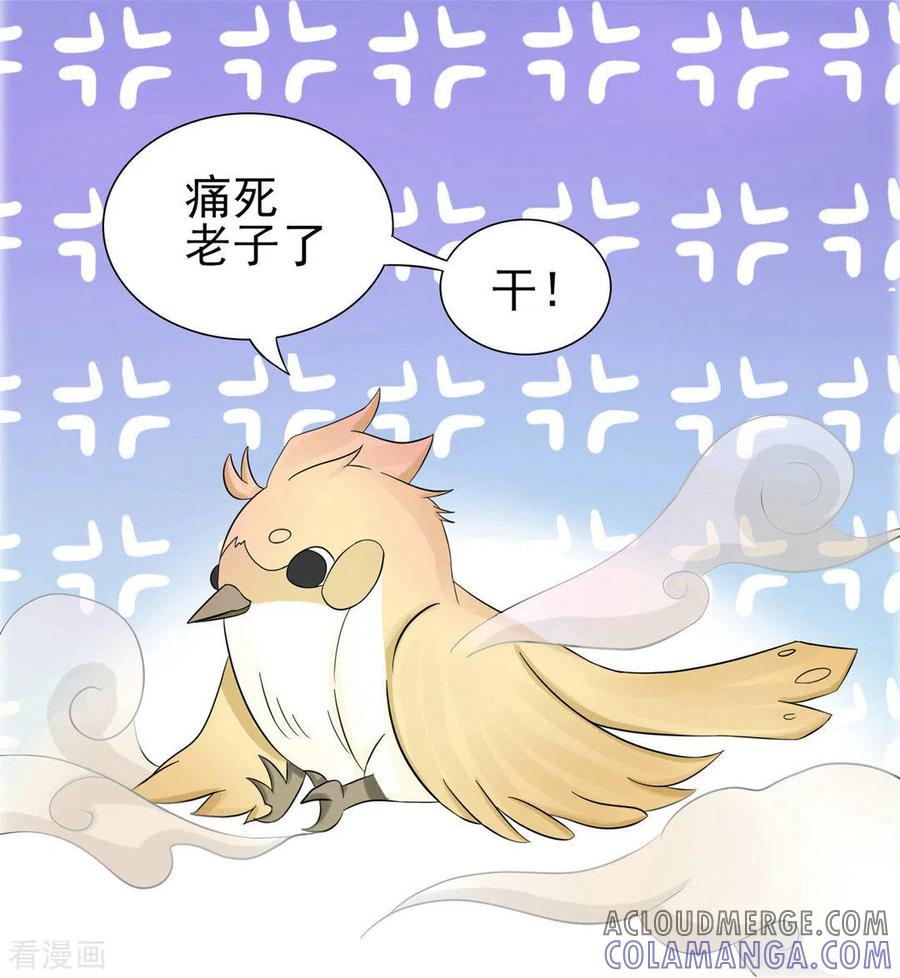 第5话-冤家小小鸟-咪咕阅读（第5张）