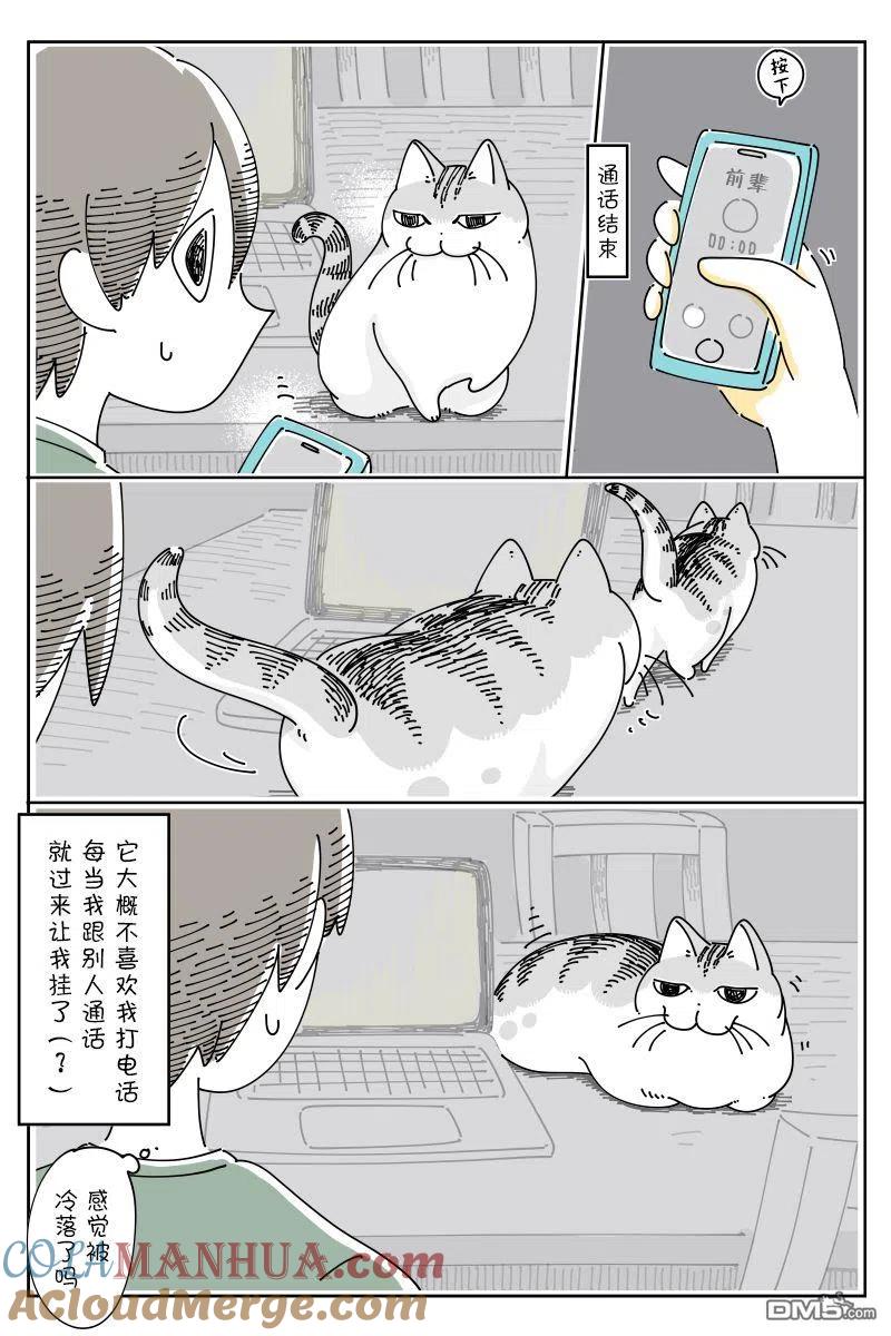 第121话-关于养猫我一直是新手-キュルZ（第2张）
