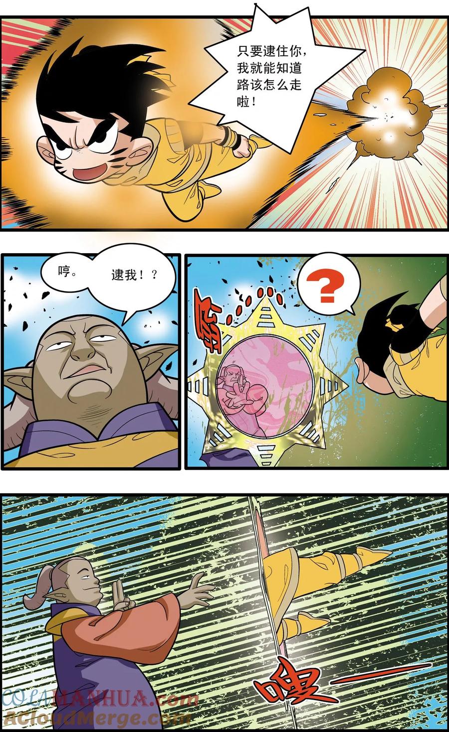 17.jpg