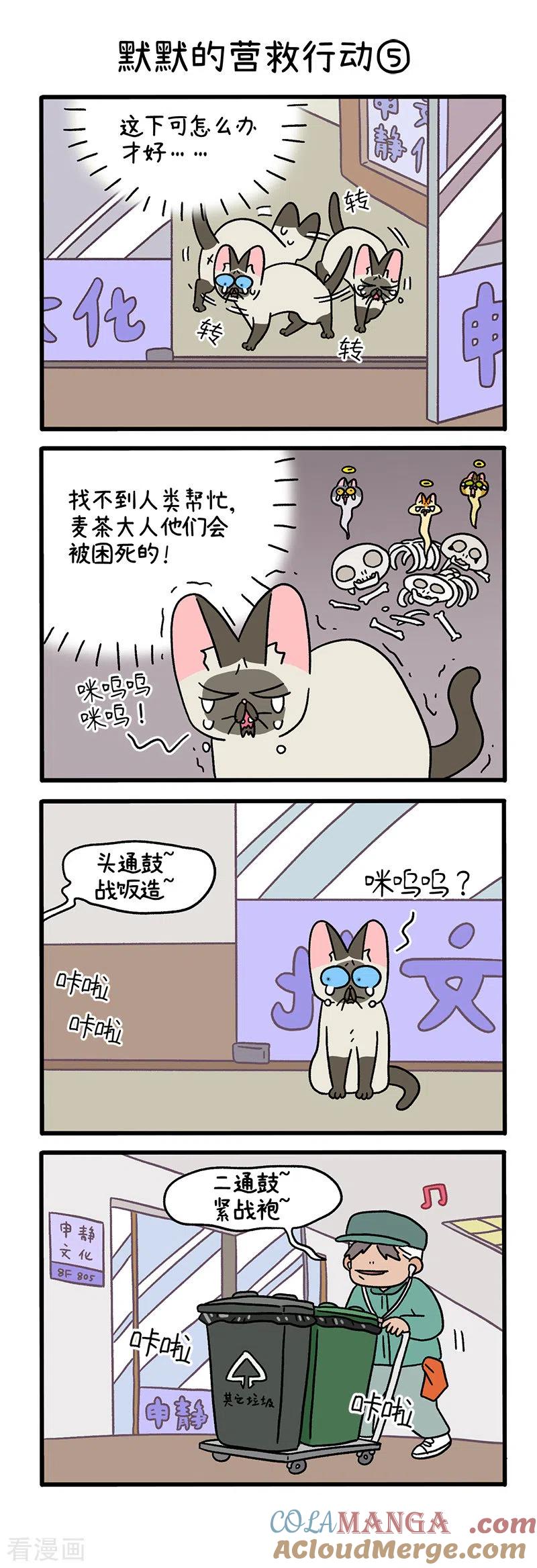第72话2默默的营救行动-阿满和麦茶-新漫画 日胖大海寺（第3张）