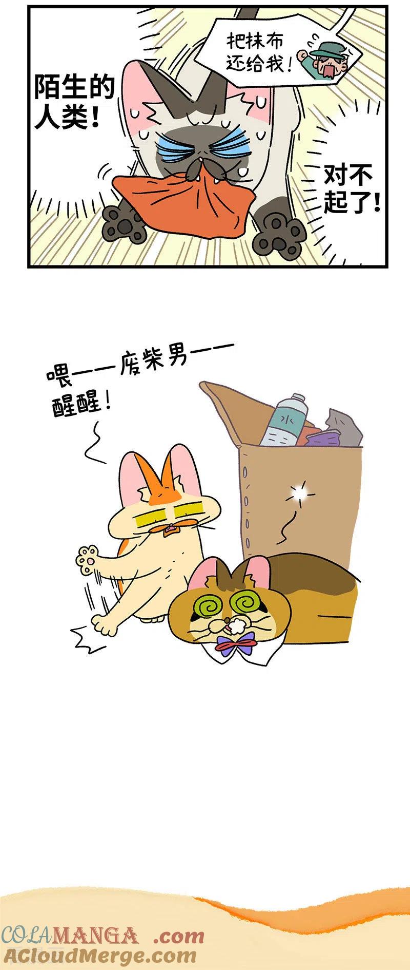 第72话2默默的营救行动-阿满和麦茶-新漫画 日胖大海寺（第5张）