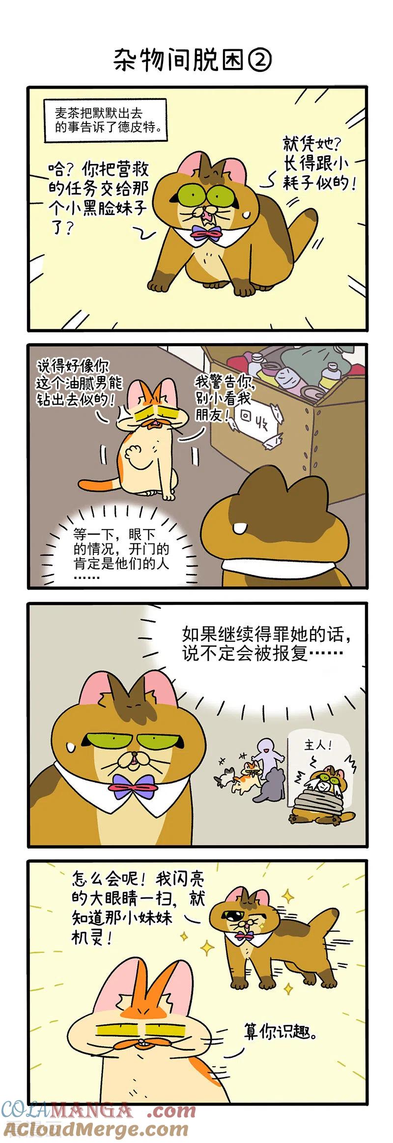 第73话1杂物间脱困-阿满和麦茶-新漫画 日胖大海寺（第3张）