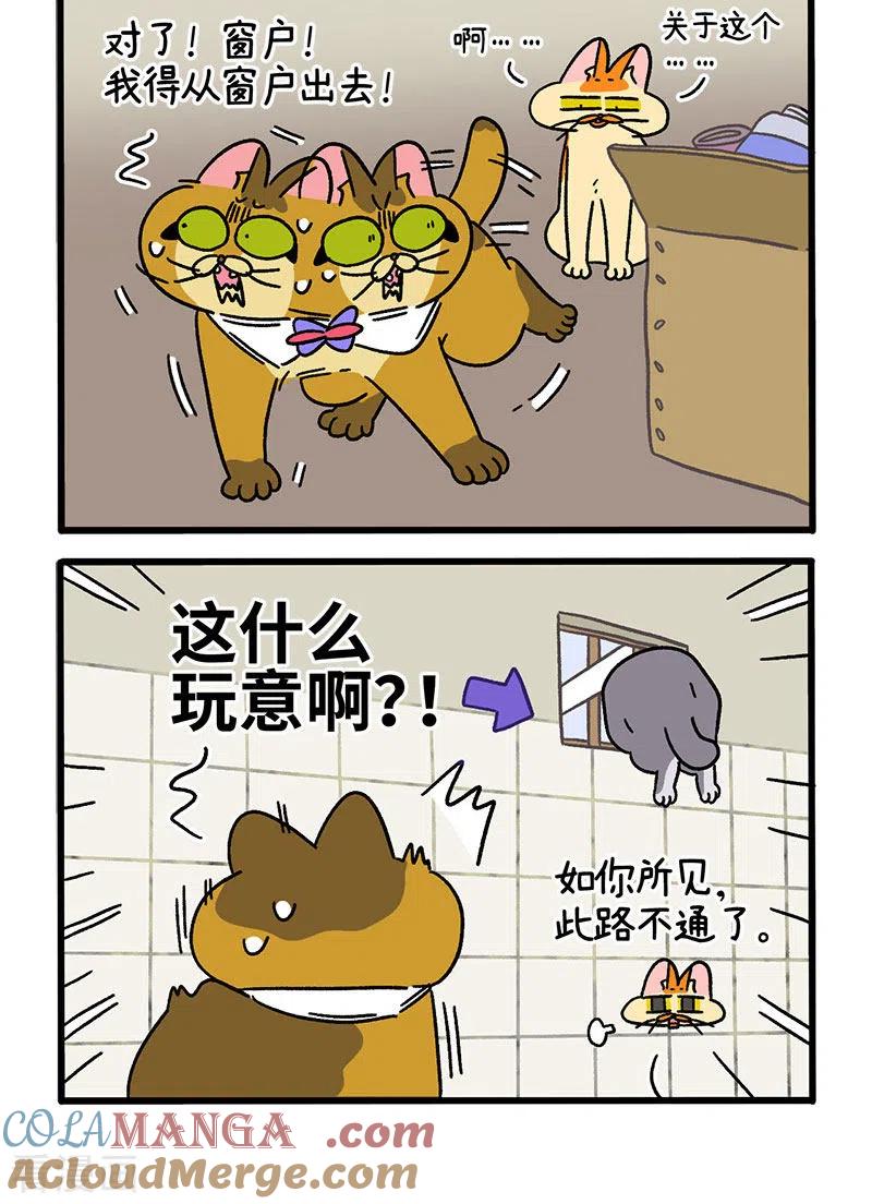 第73话1杂物间脱困-阿满和麦茶-新漫画 日胖大海寺（第2张）