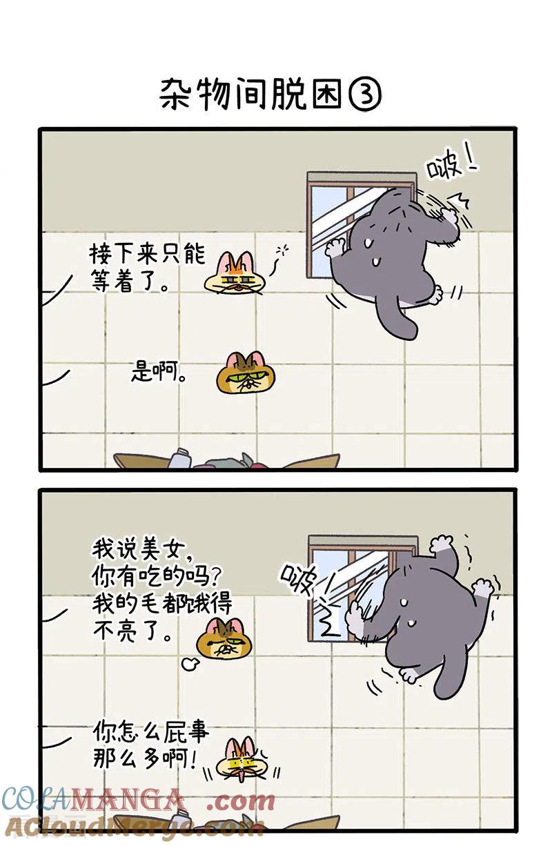 第73话1杂物间脱困-阿满和麦茶-新漫画 日胖大海寺（第4张）