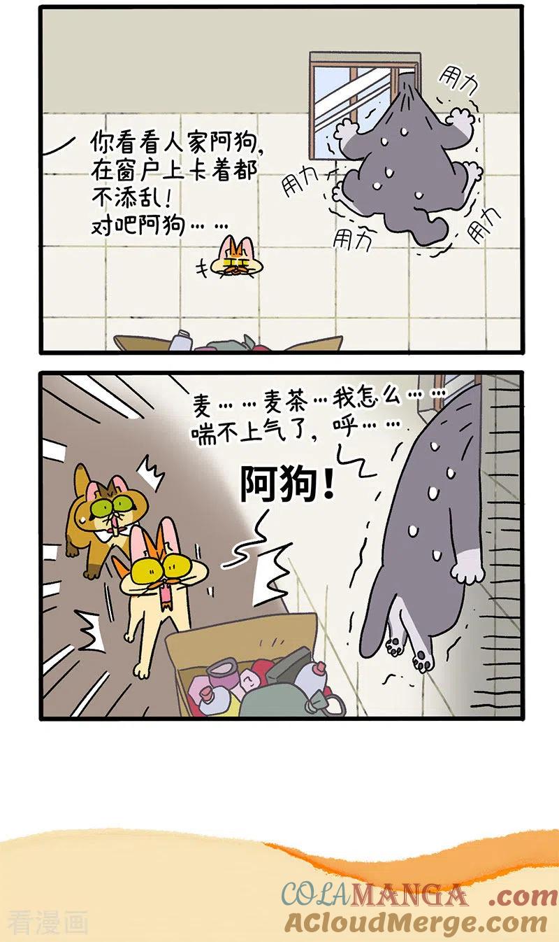 第73话1杂物间脱困-阿满和麦茶-新漫画 日胖大海寺（第5张）