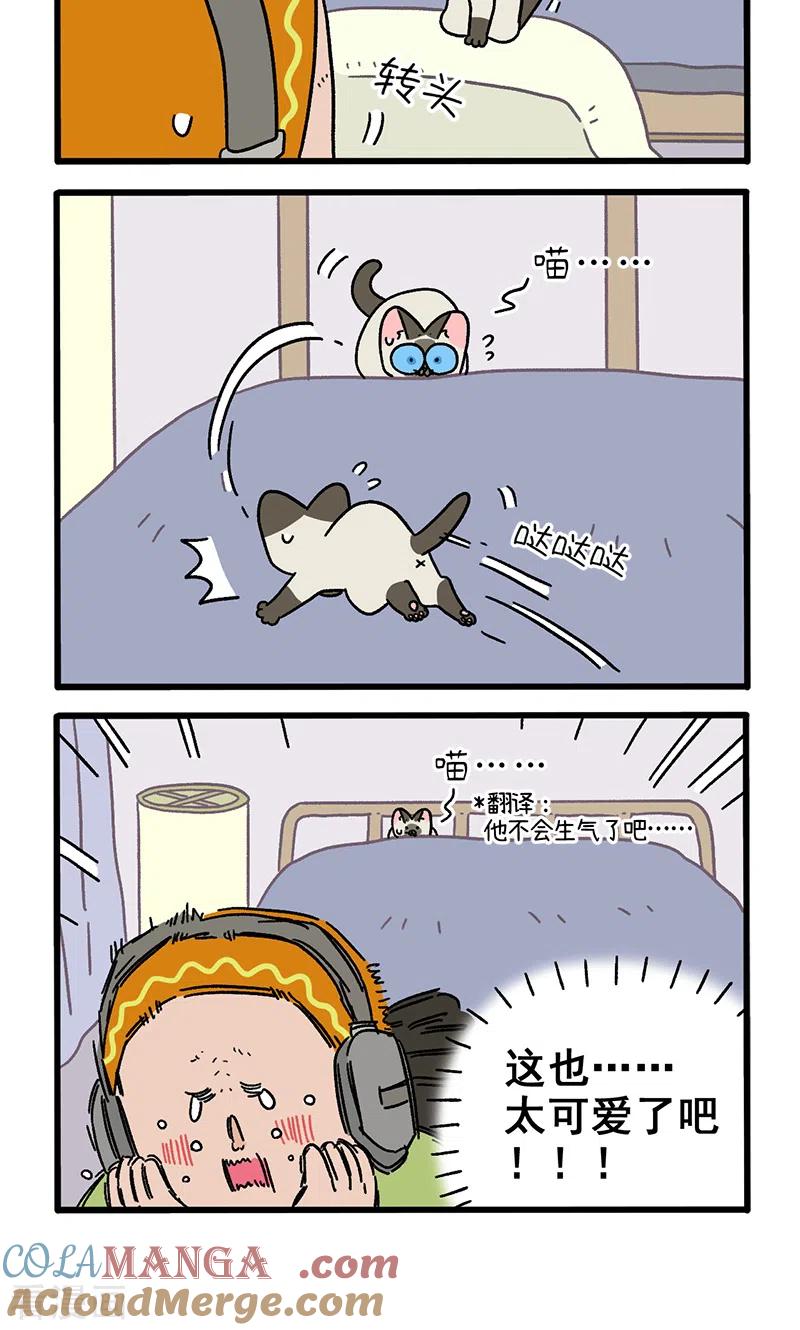 番外16下默默的新生活2-阿满和麦茶-新漫画 日胖大海寺（第4张）