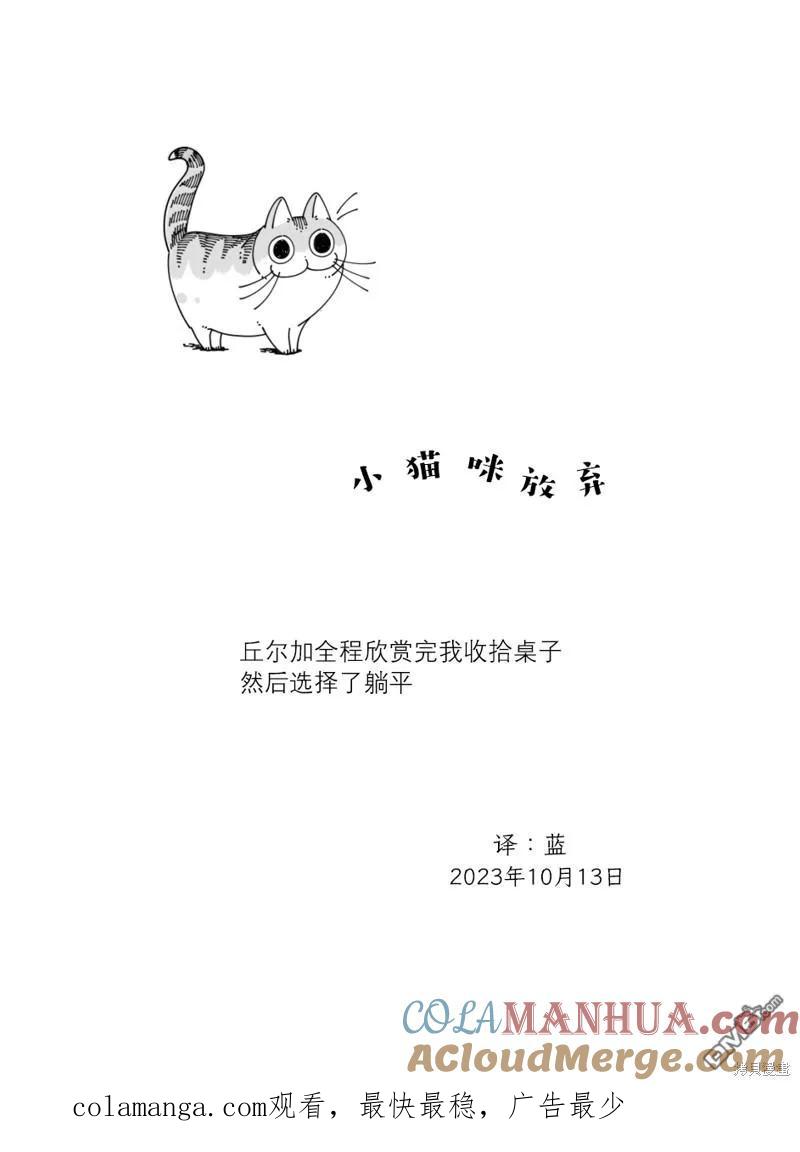 第187话-关于养猫我一直是新手-キュルZ（第3张）