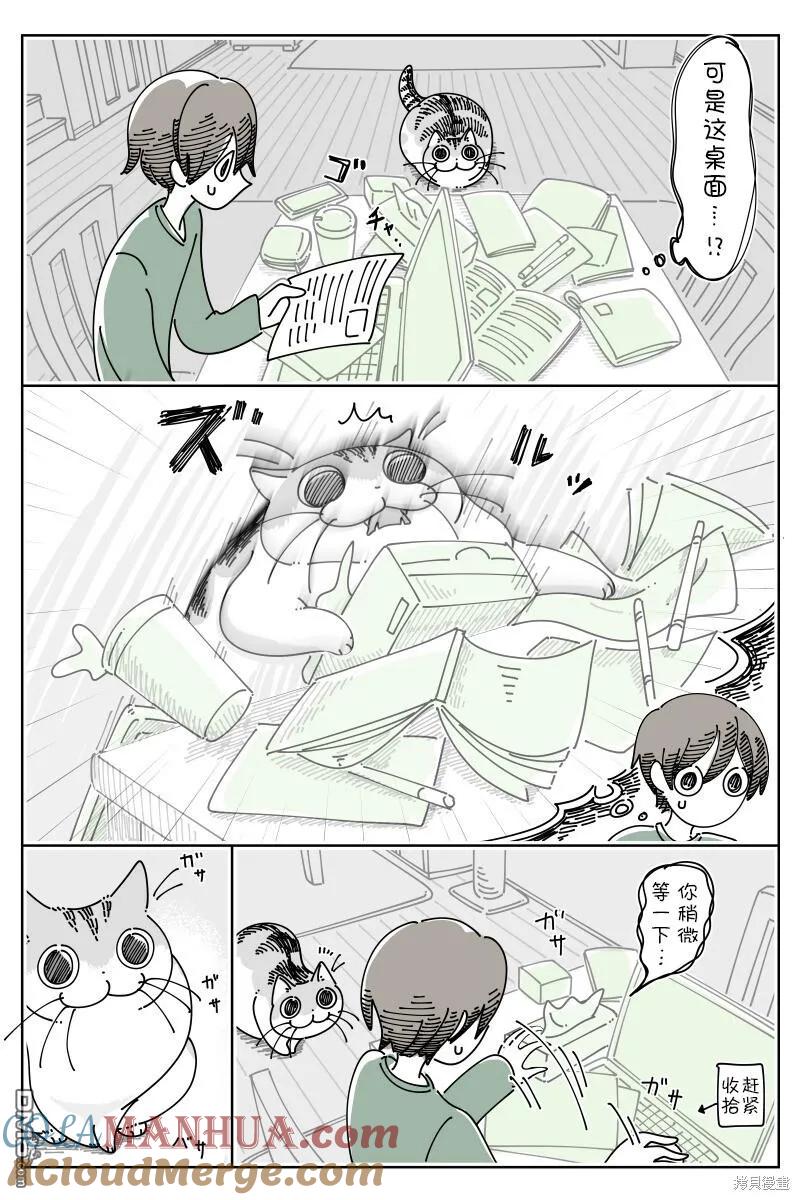第187话-关于养猫我一直是新手-キュルZ（第1张）