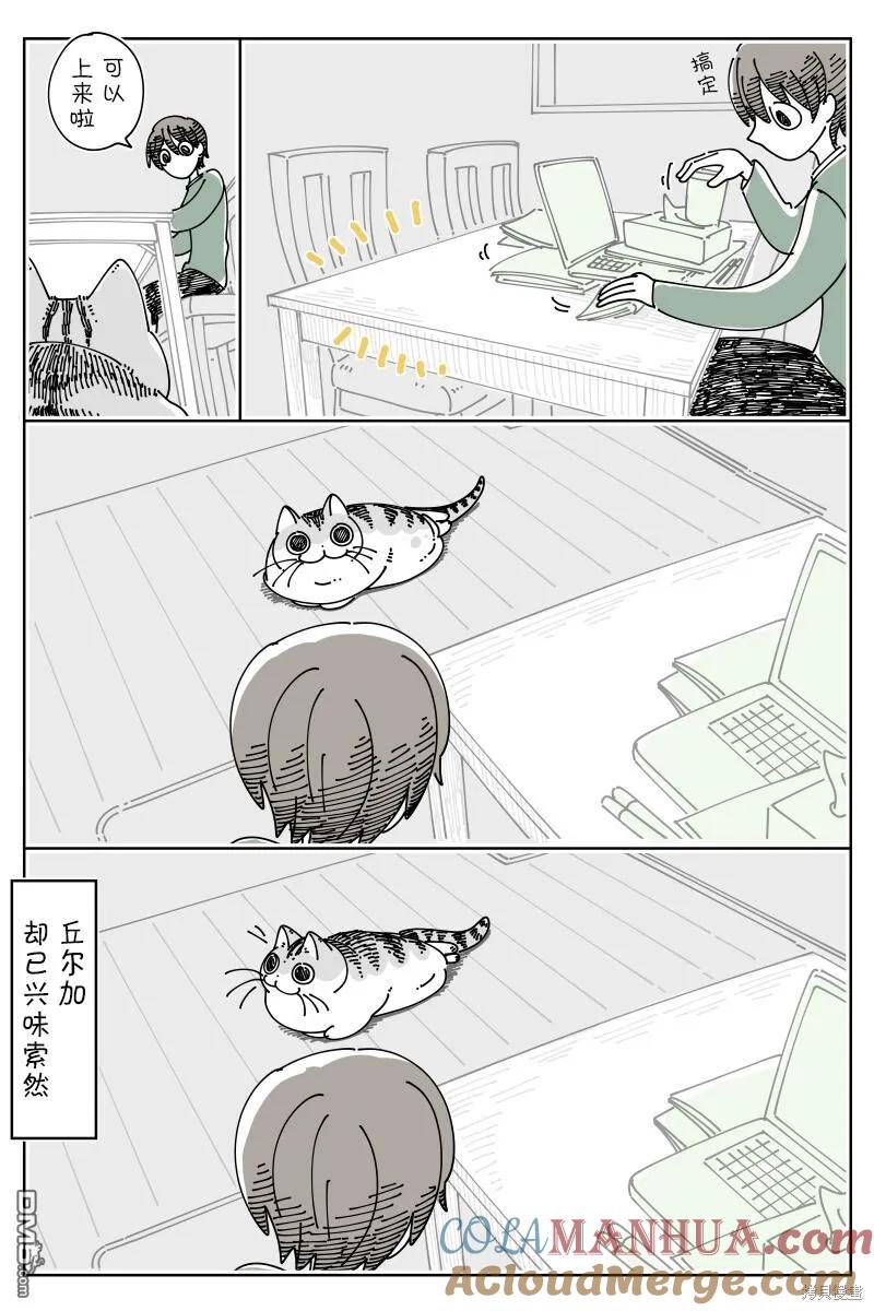 第187话-关于养猫我一直是新手-キュルZ（第2张）