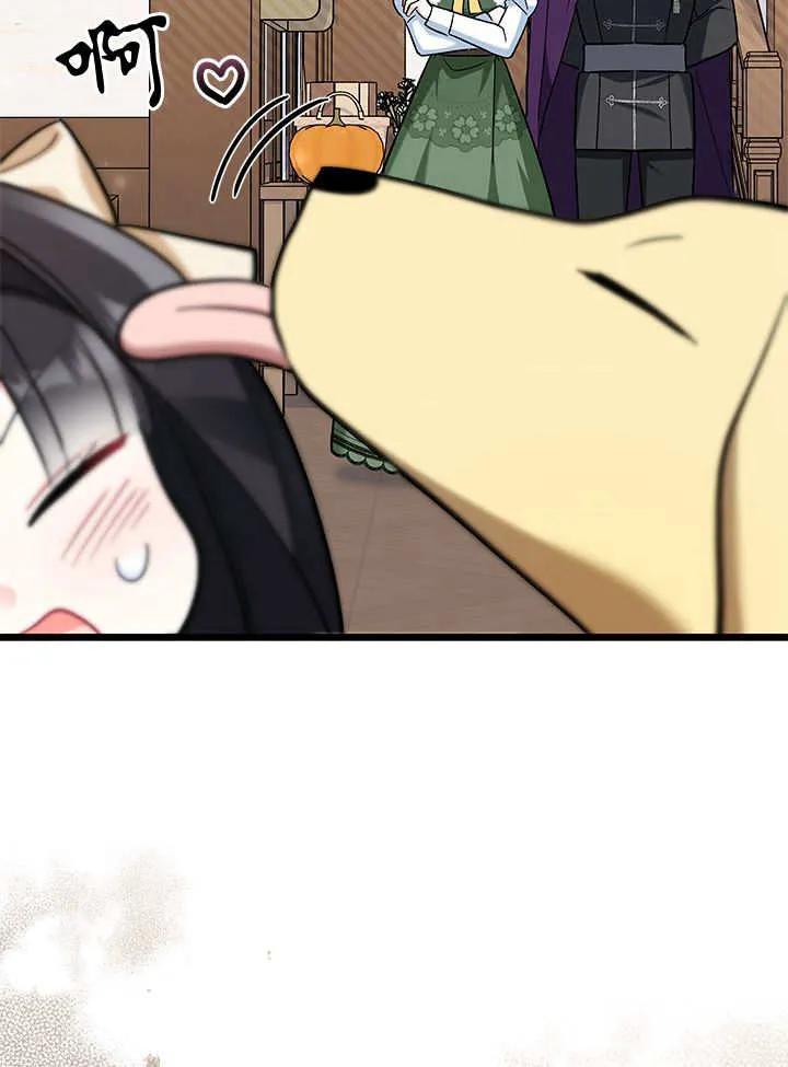 99.jpg