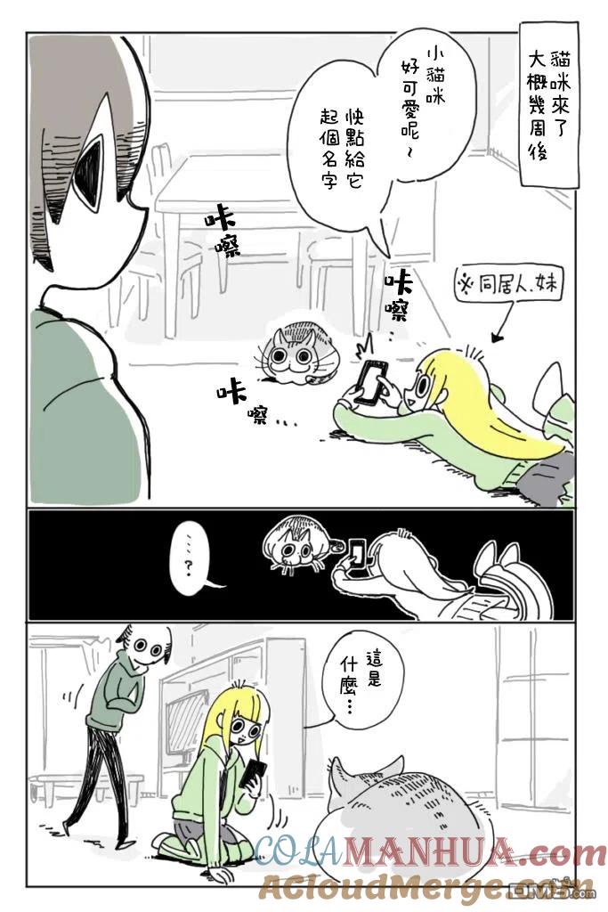 第3话-关于养猫我一直是新手-キュルZ（第6张）