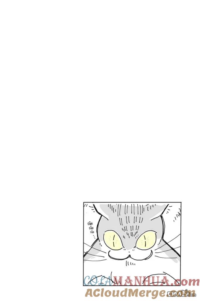 第3话-关于养猫我一直是新手-キュルZ（第10张）