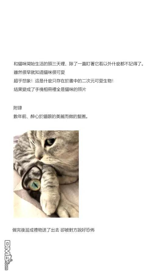 第3话-关于养猫我一直是新手-キュルZ（第3张）