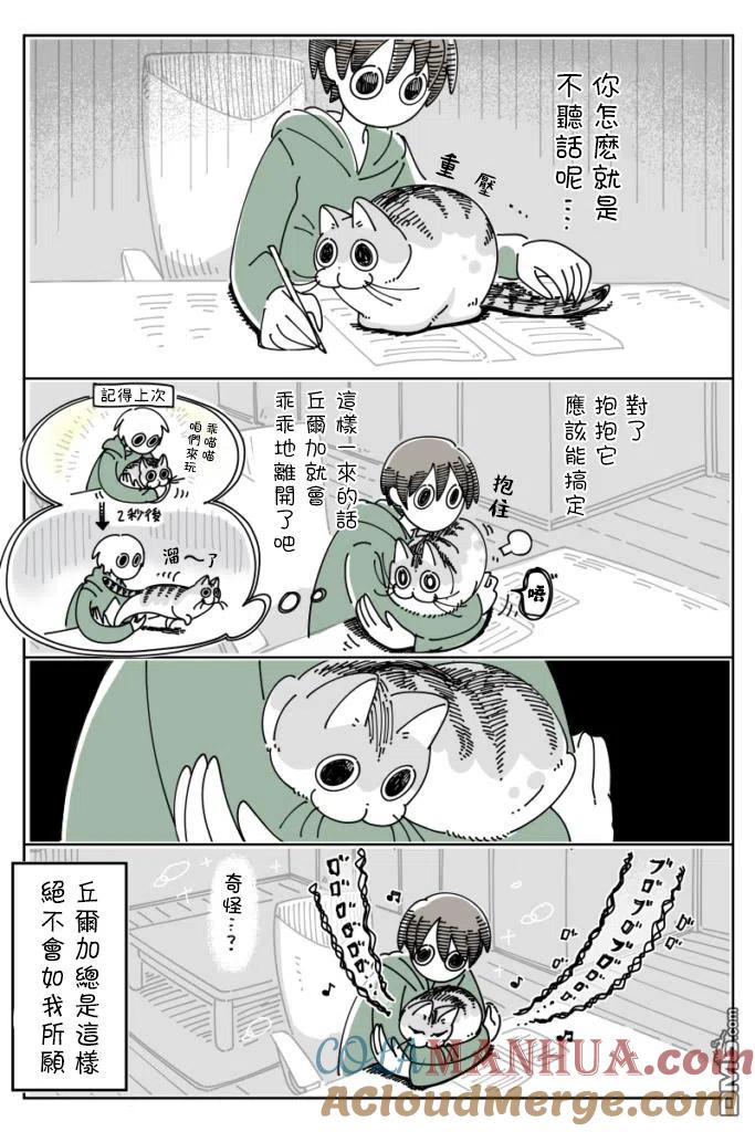 第41话-关于养猫我一直是新手-キュルZ（第2张）